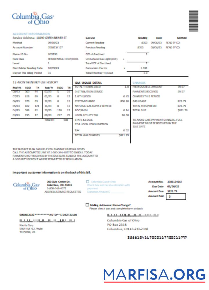 Realistic Columbia Gas of Ohio utility business bill, SCR sample